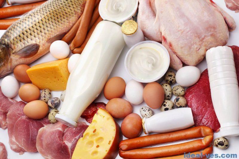 Продукты с высоким содержанием белка и протеина